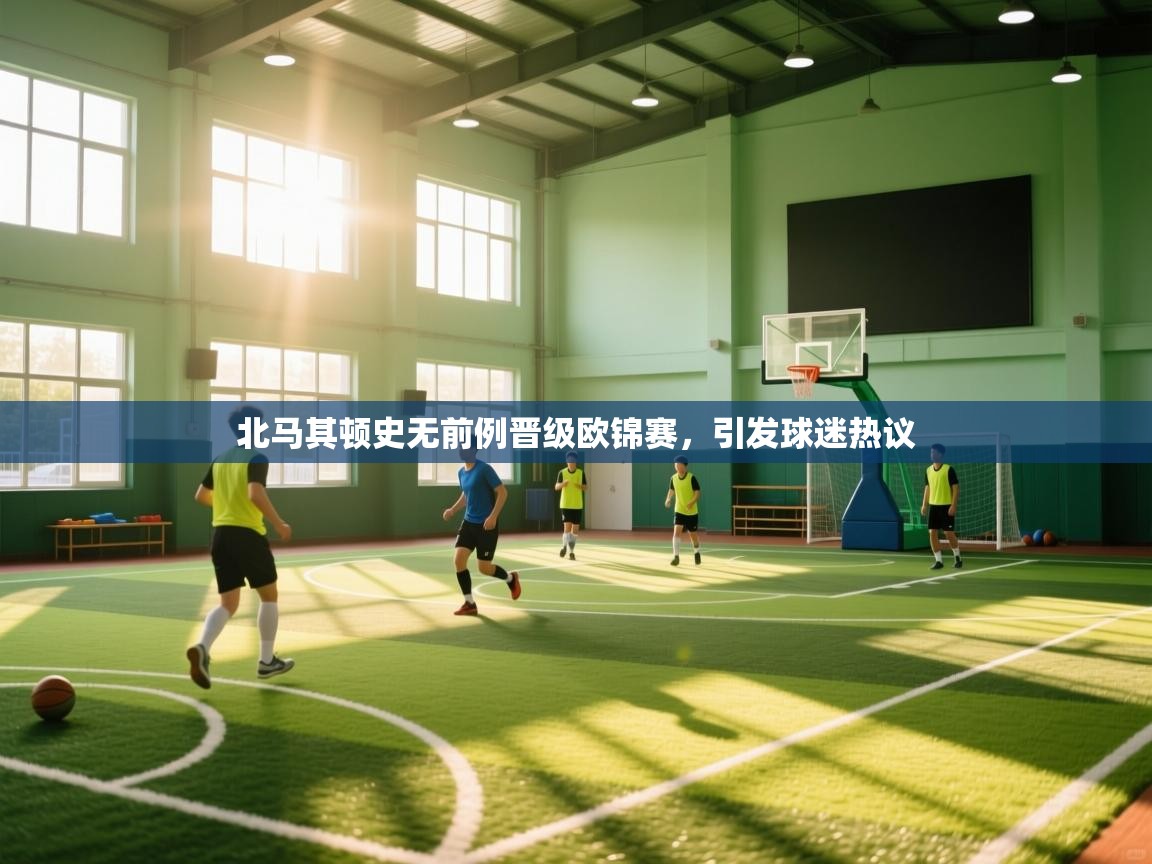 北马其顿史无前例晋级欧锦赛，引发球迷热议  第1张